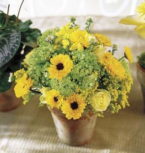 Botanica Centerpiece