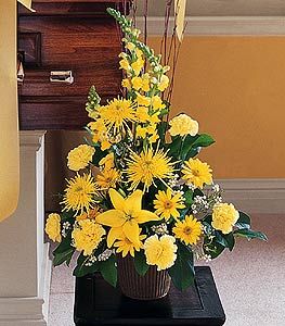 Yellow Triangular Arrangement