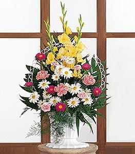 Pink, Yellow and White Flowers