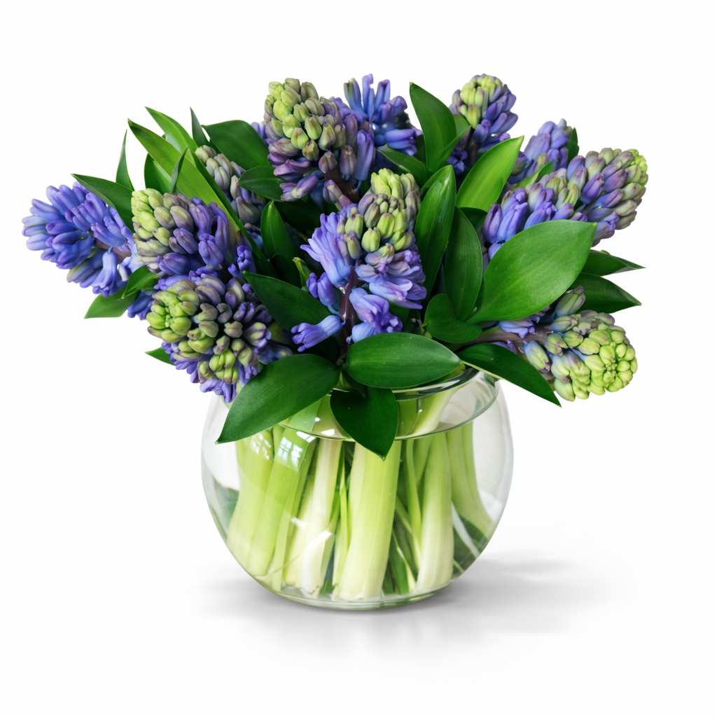 Hyacinth Bowl