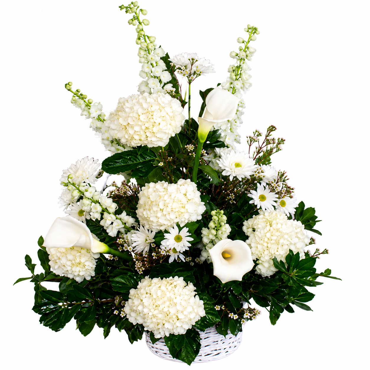 Purity Basket