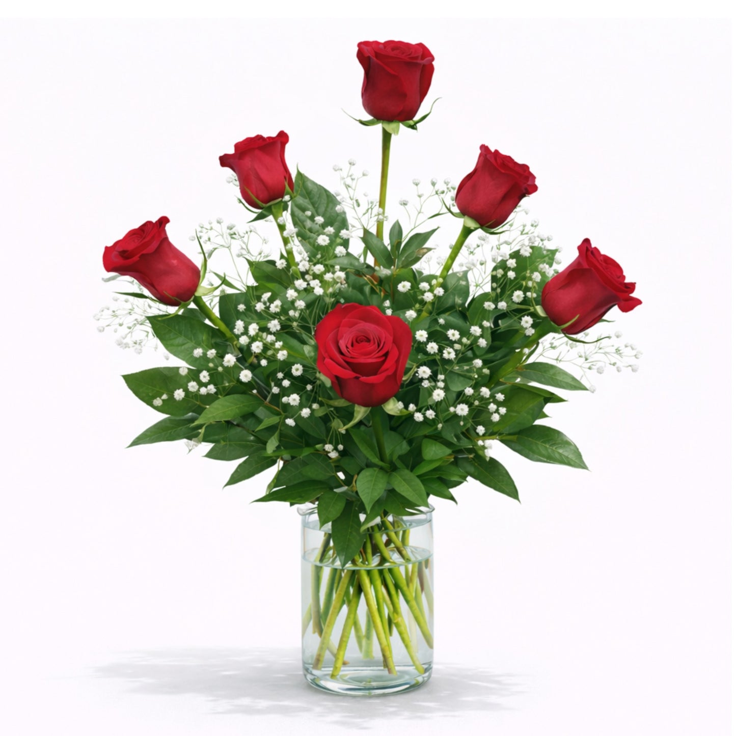 Red Roses 6 Vased