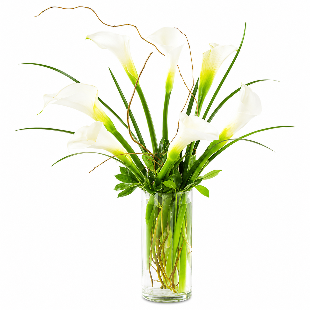 Simple Sophistication Arrangement