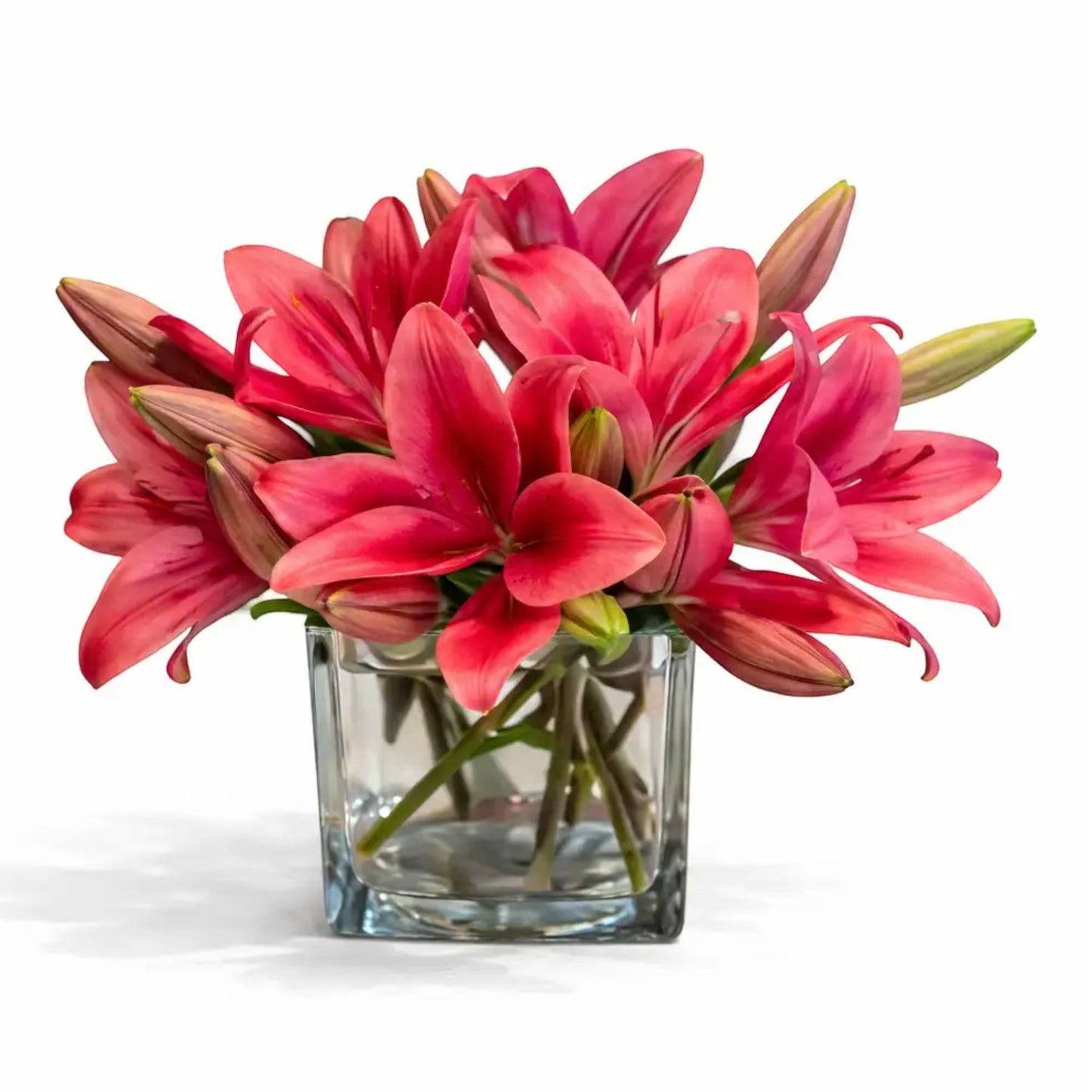 Square Lilies