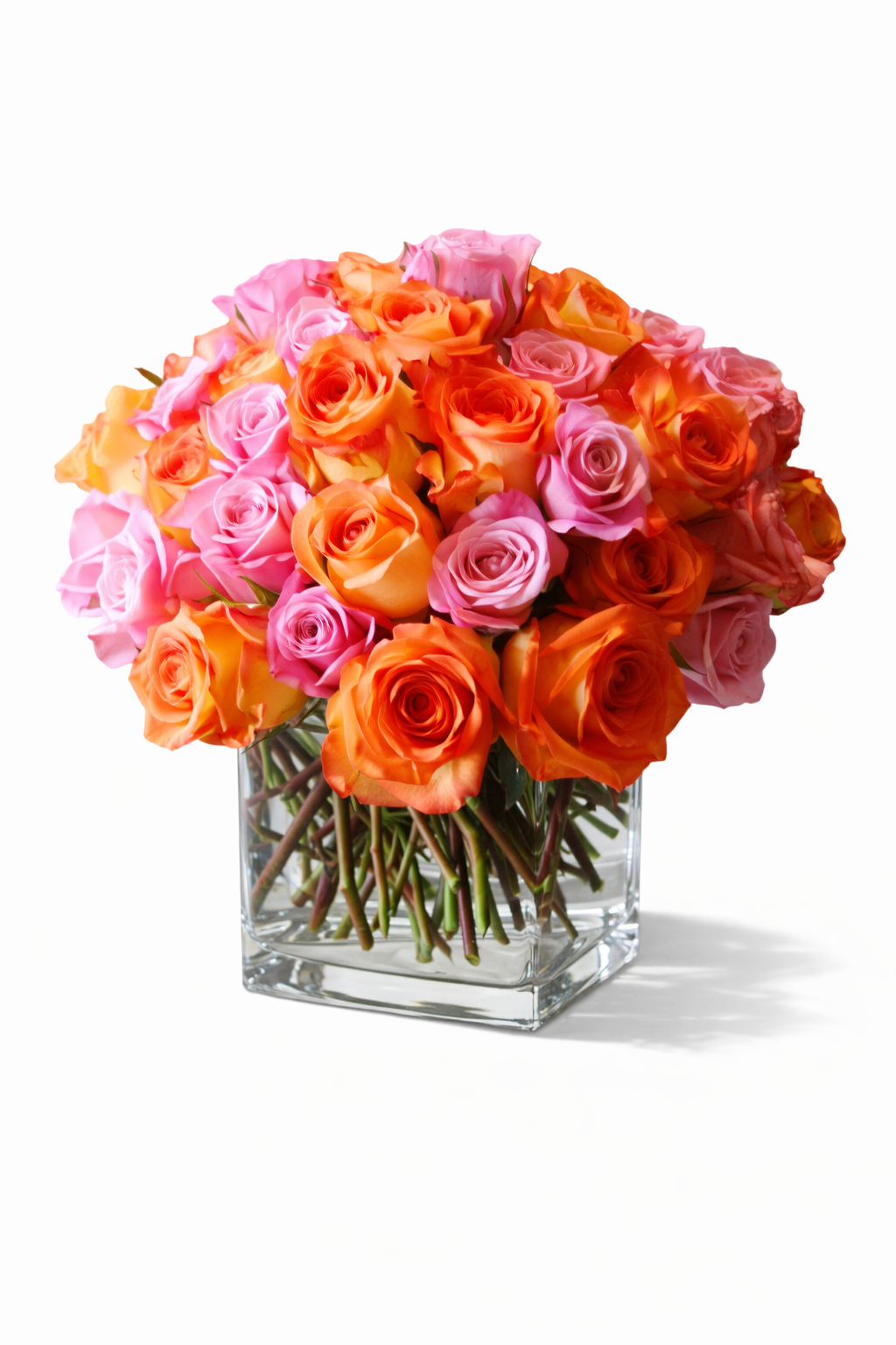 Tender Roses