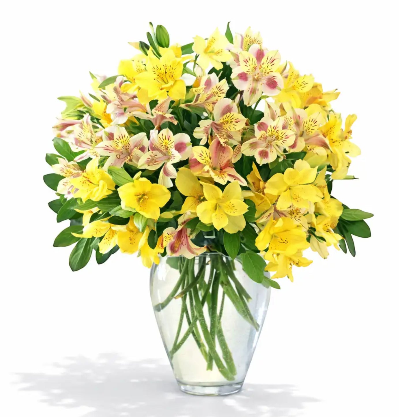 Yellow Alstroemeria Vase