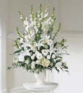 Morning Stars Arrangement
