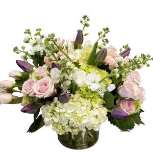 Early Spring Romance