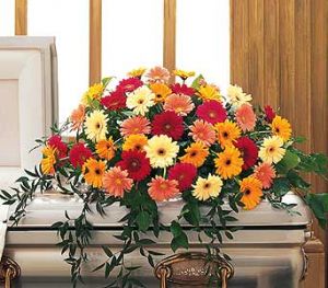 Gerbera Casket Spray