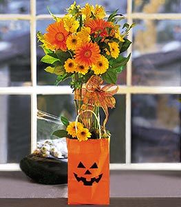 Trick-or-Treat Arrangement