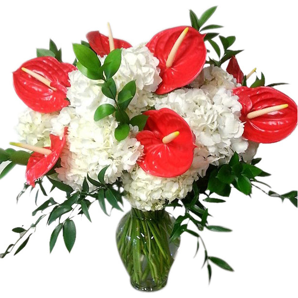 Hydrangea and Anthuriums