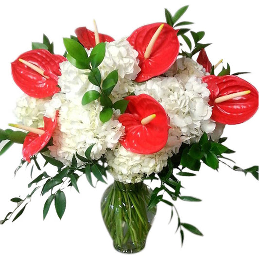 Hydrangea and Anthuriums