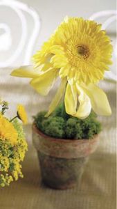 Yellow Gerbera Centerpiece