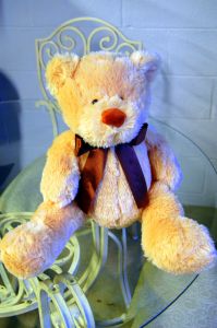 Teddy Bear