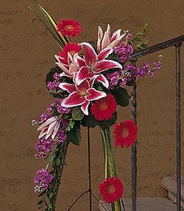 Gerberas and Stargazers