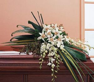 Half-Couch Orchid Spray