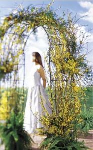 Arbor of Love Archway