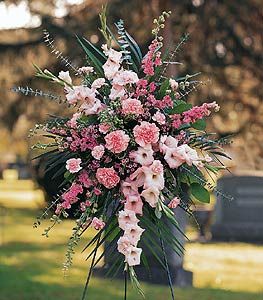 Mixed Pink Spray