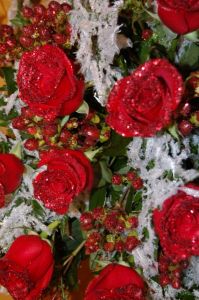 Designer Choice Holiday Arrangement