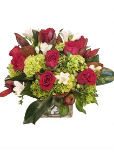 Roses and Freesia Cubed