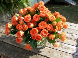 Orange Spray Roses in Cube