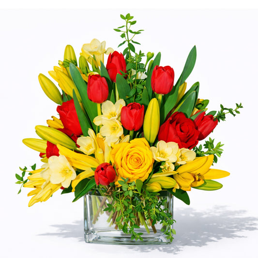 Bright Yellow and Reds