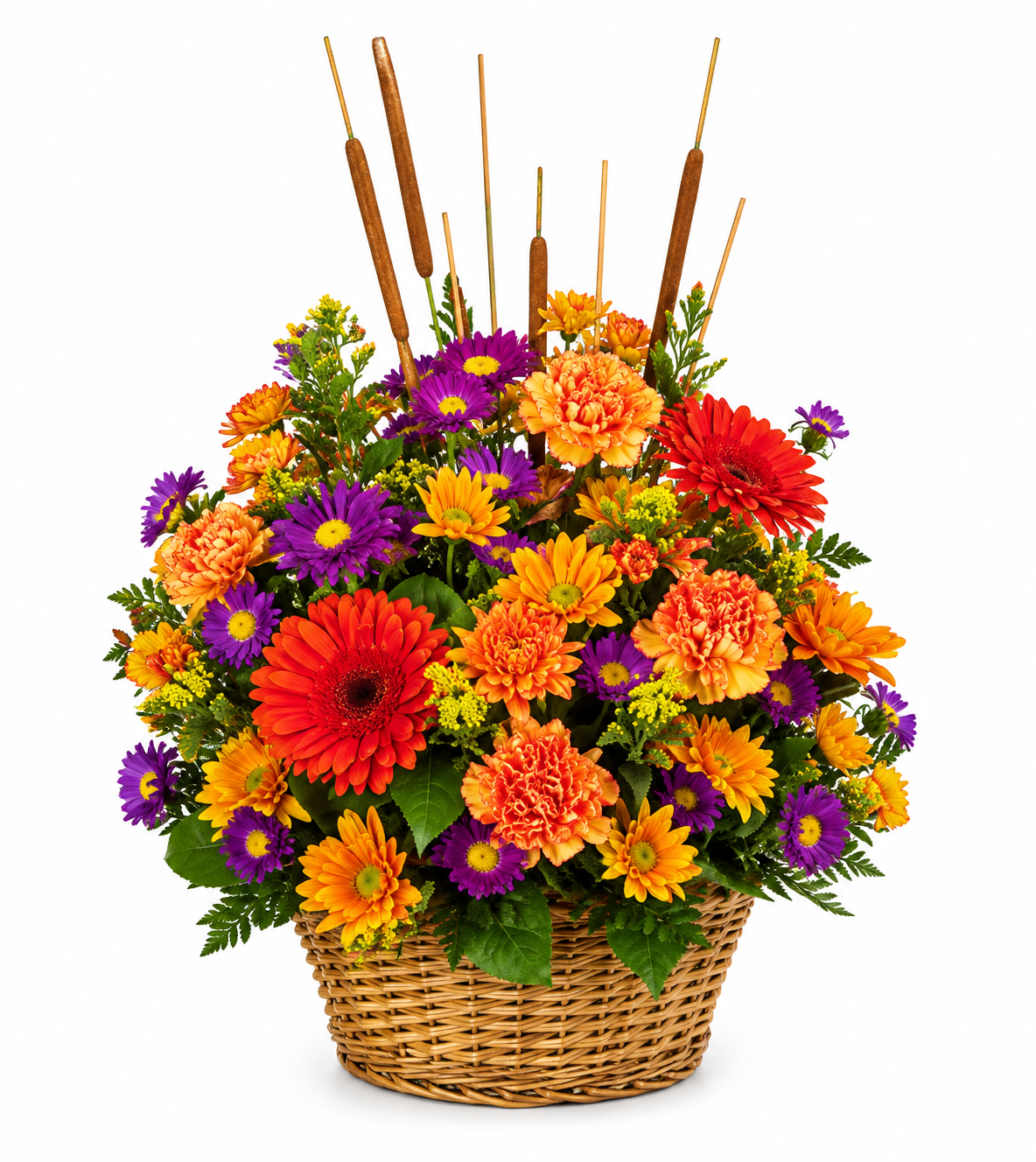 Cattails and Mums