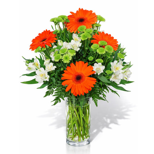 Cylinder Vase of Gerberas