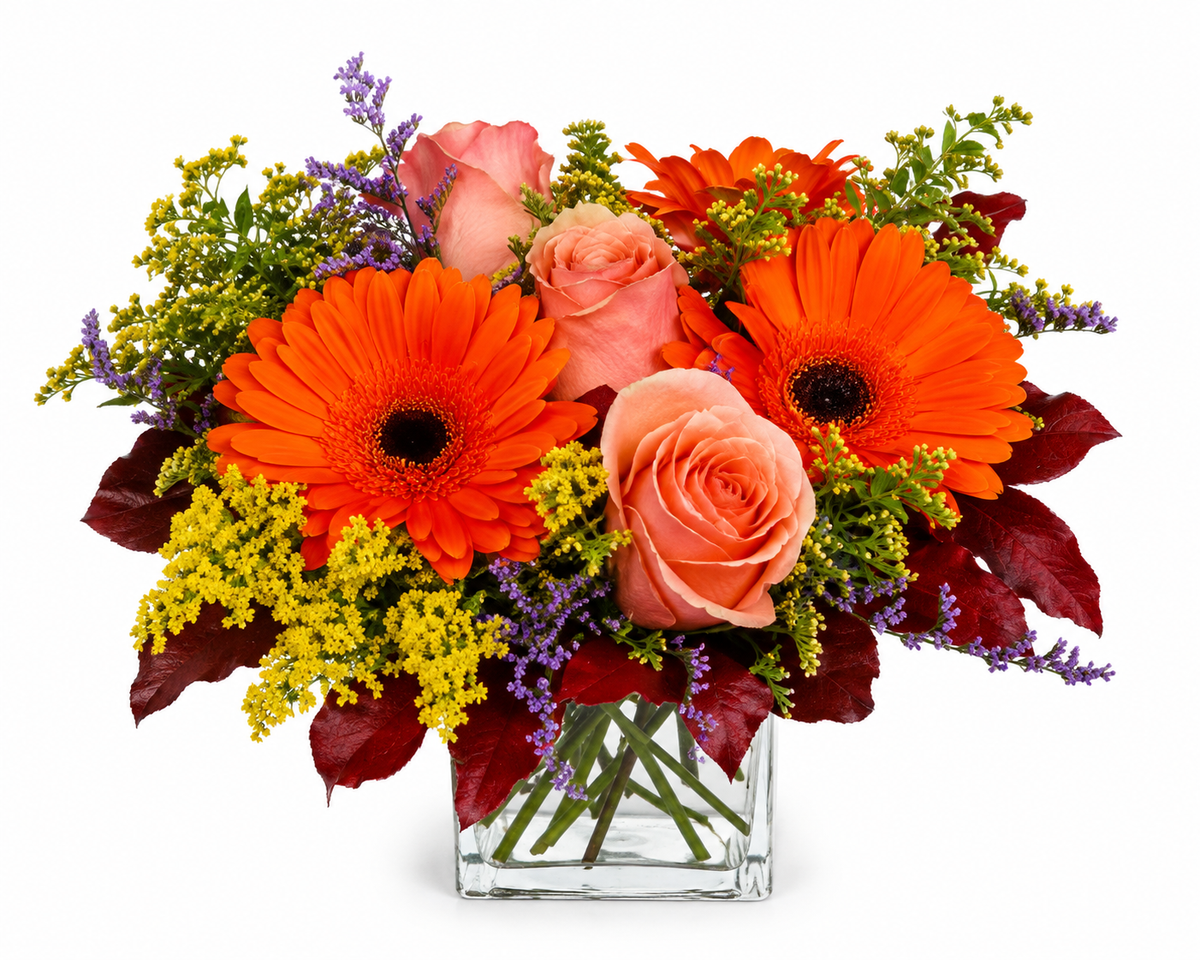 Gerbera and Roses