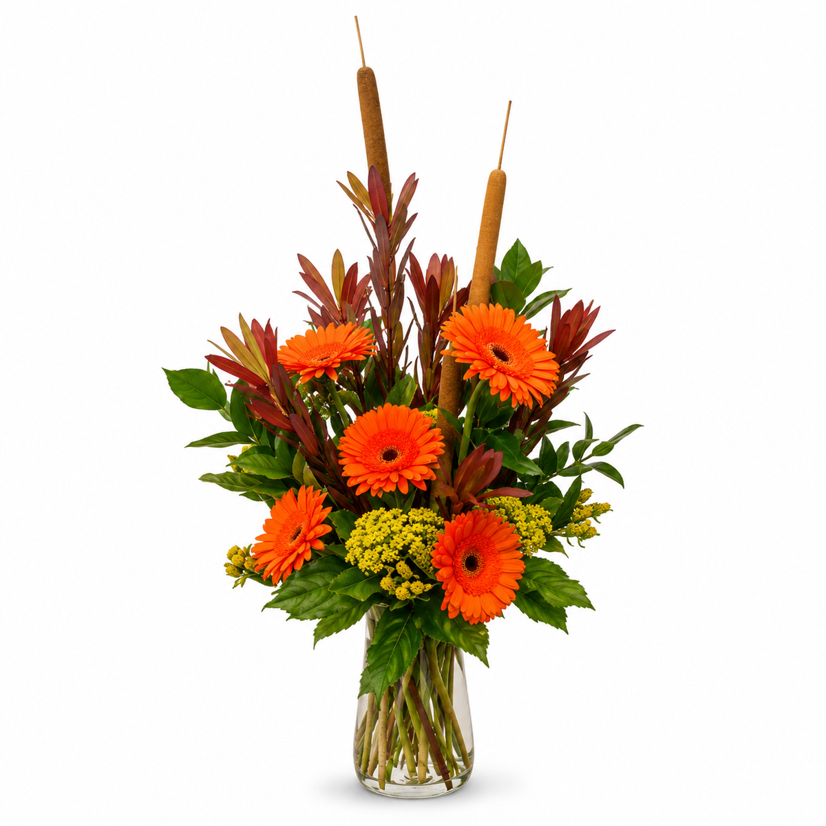 Gerberas and Cattails