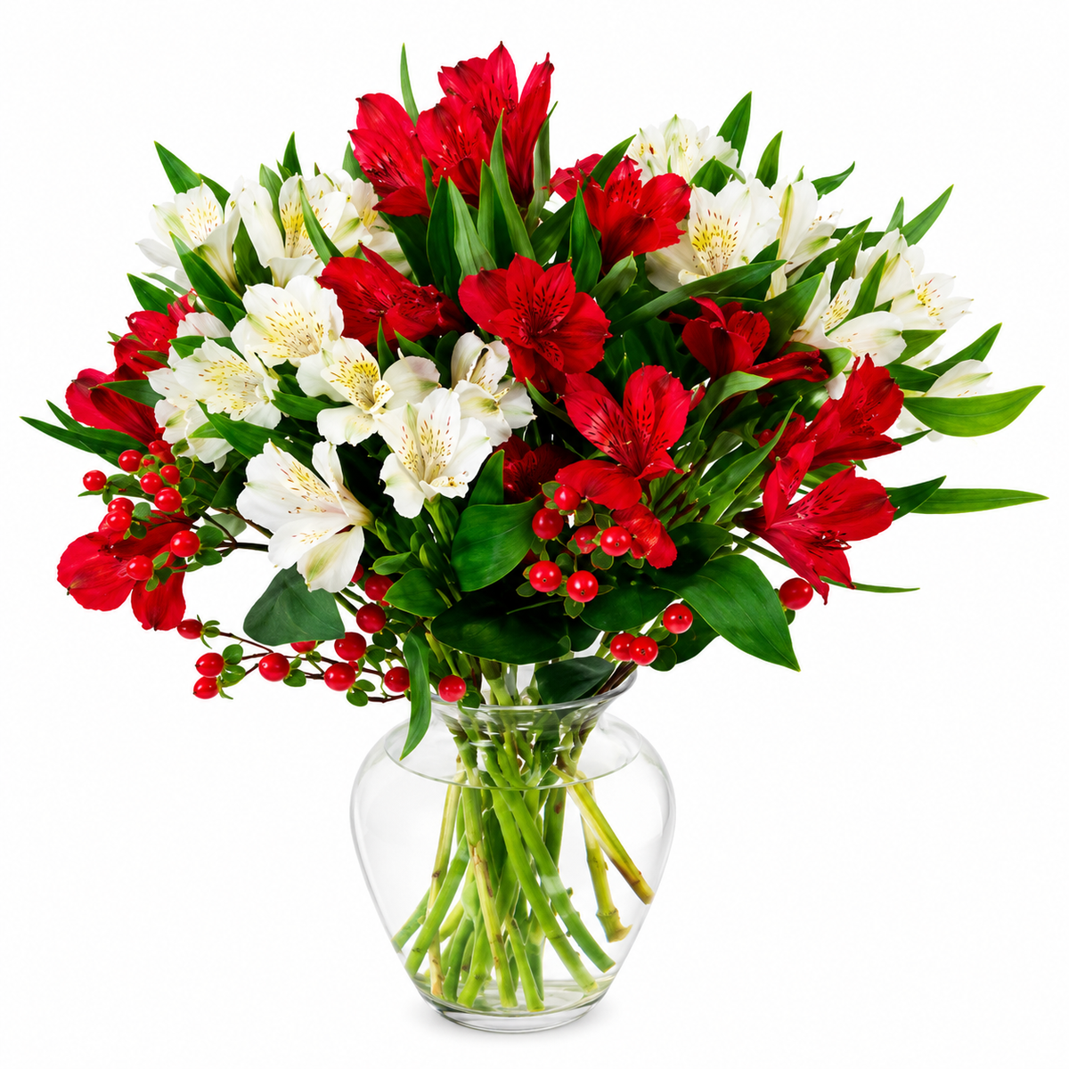 Holiday Alstroemeria