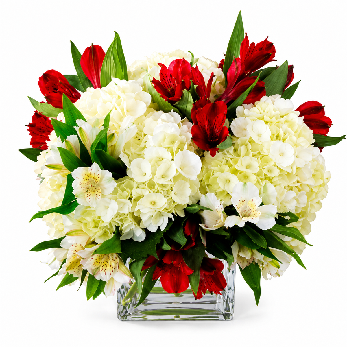 Hydrangea and Alstroemeria