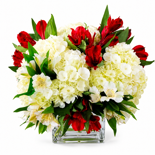 Hydrangea and Alstroemeria