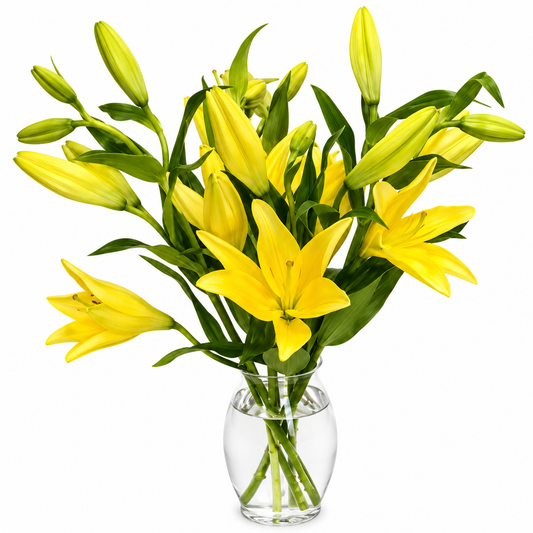 LA Lilies