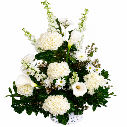 Purity Basket