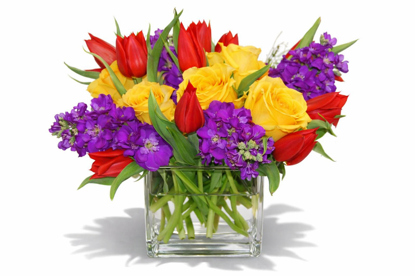 Purple Yellow and Red Assortment