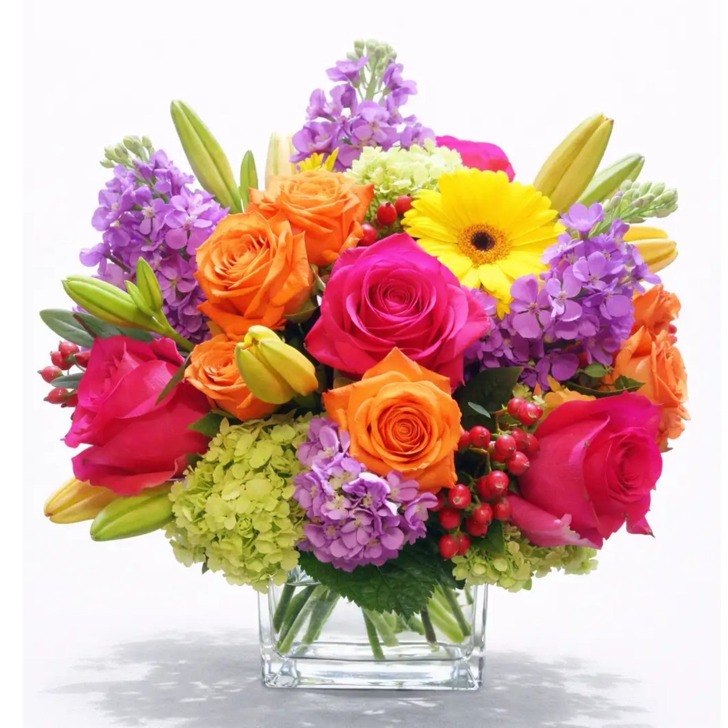 Rainbow of flowers