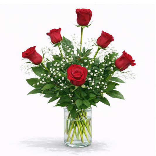 Red Roses 6 Vased
