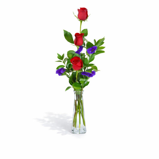 Red Roses in Bud Vase