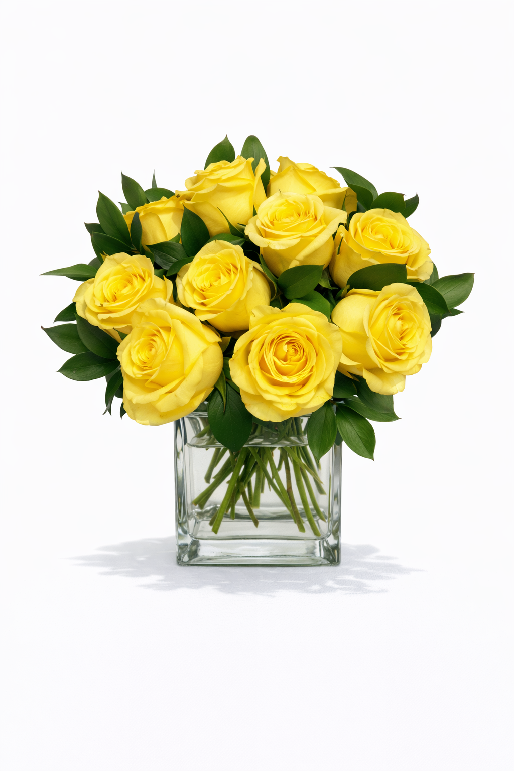 Roses on a budget