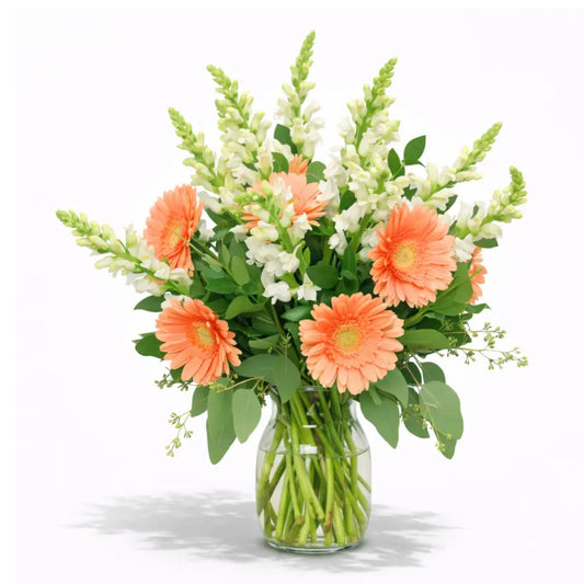 Shy Gerberas