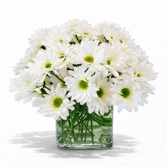 Square Daisies
