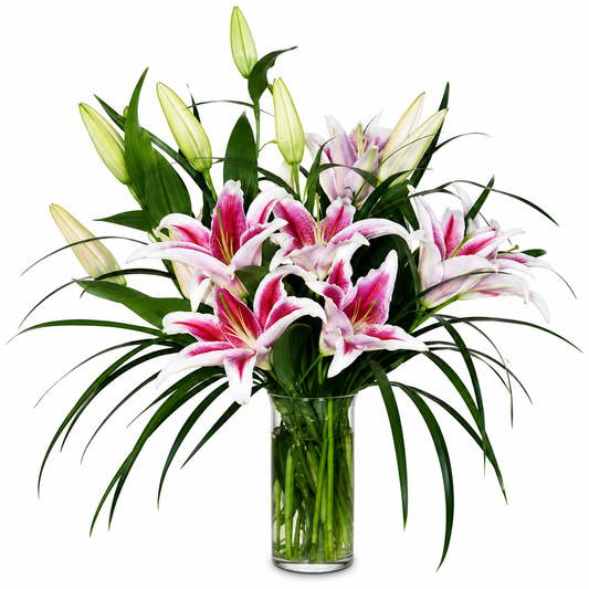 Stargazer Lilies