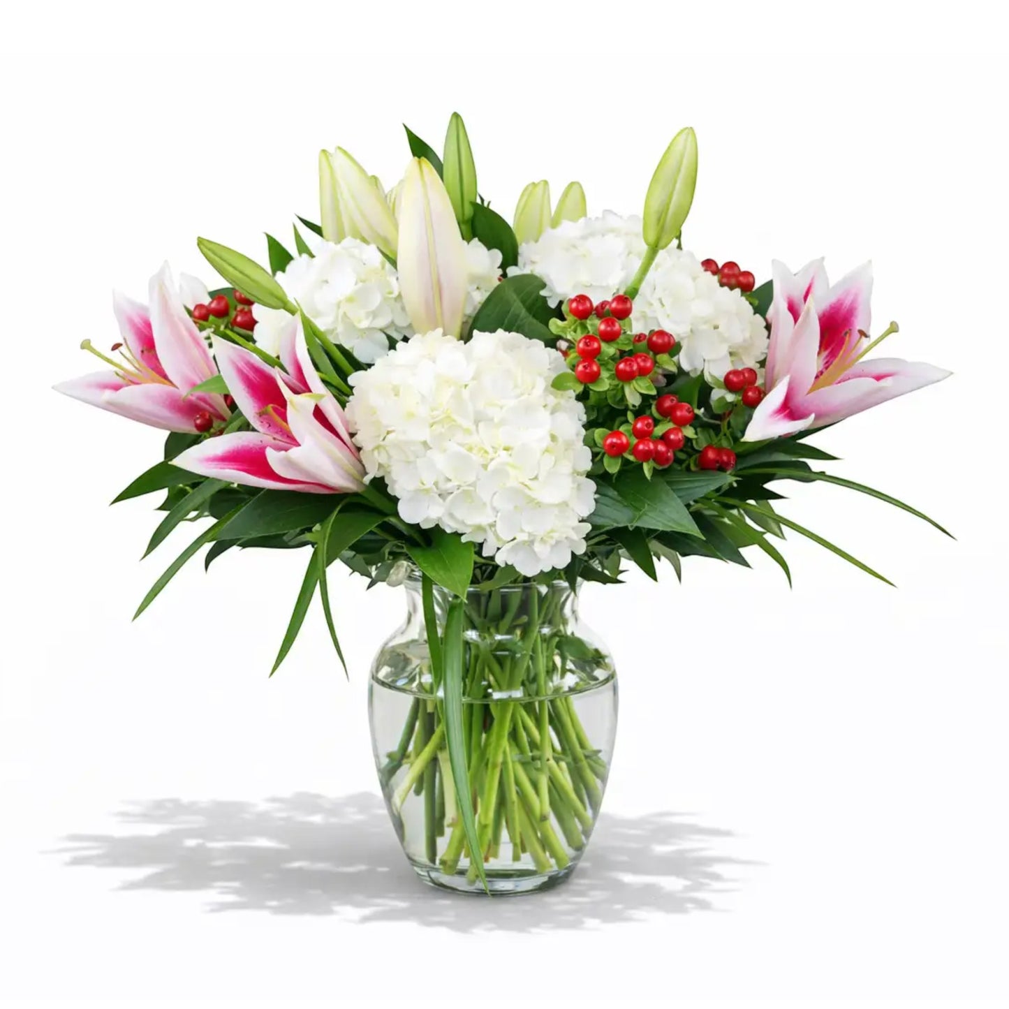 Stargazer and Hydrangea