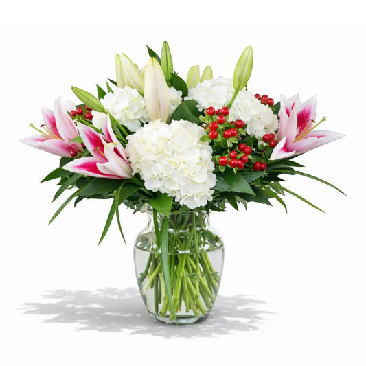 Stargazer and Hydrangea