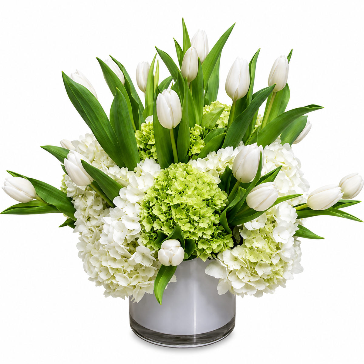 Tulips and Hydrangeas