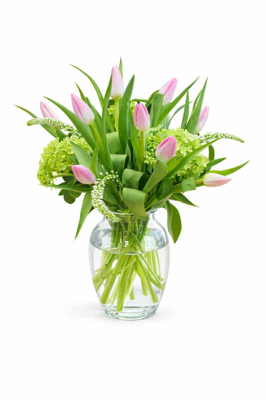 Tulip Splendor