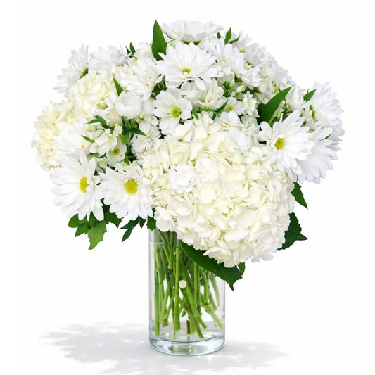 White Hydrangea and more