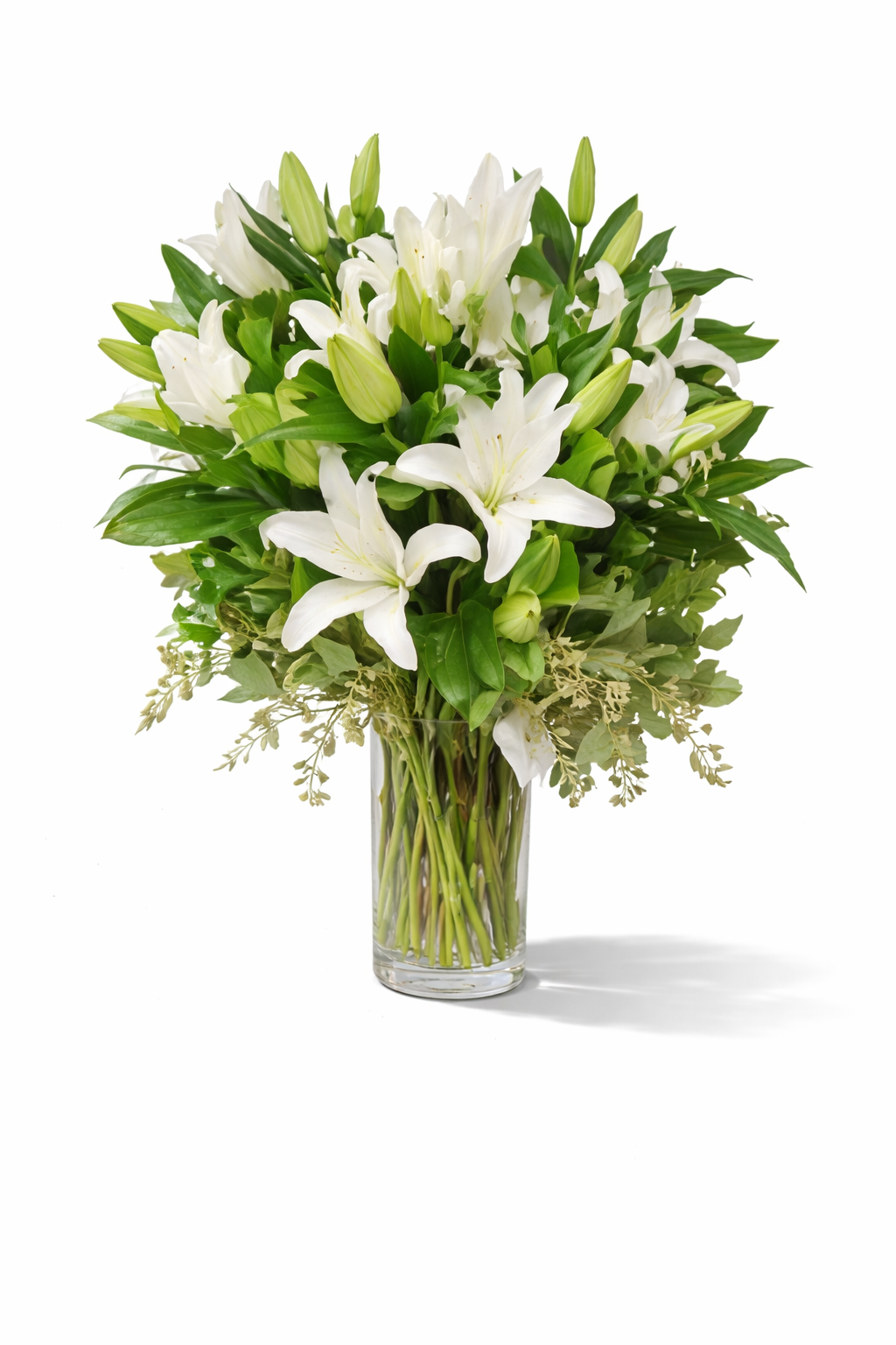 White Oriental Lilies