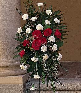 Red and White Spray